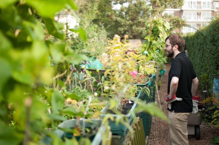 southsea_greenhouse_tom