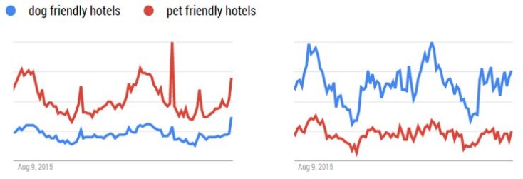 Google trends for dummies