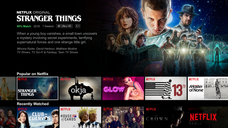 Netflix programme screen