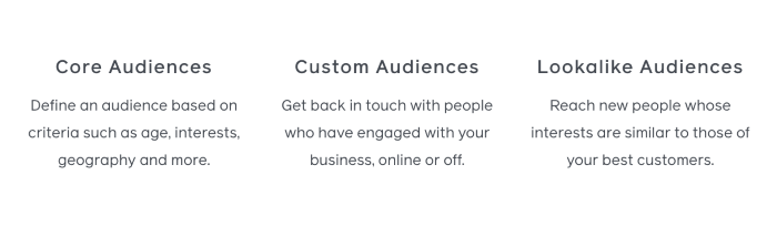 the different audiences on facebook advertising
