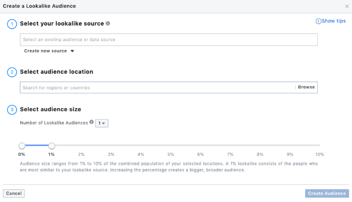 lookalike audiences in facebook advertising