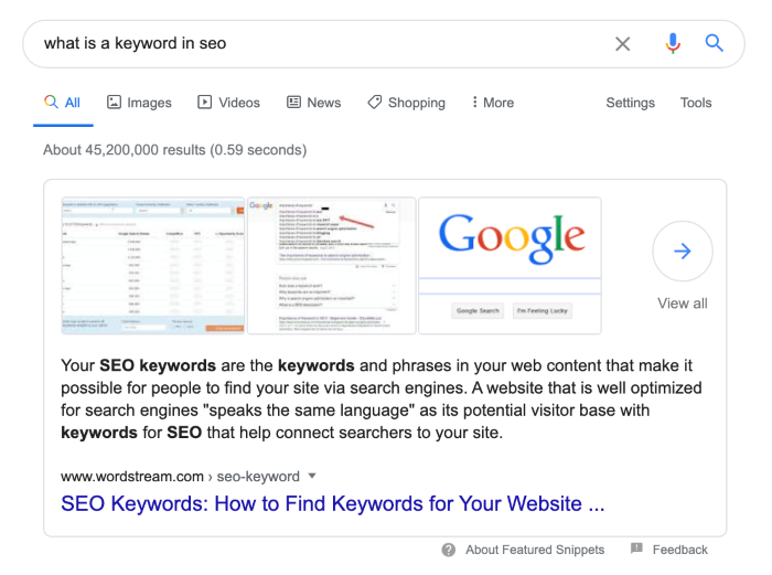 Search for 'what is a keyword in SEO' showing large result taking up a lot of space in search results